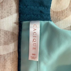 Lane Bryant, Cacique, Bra 38D